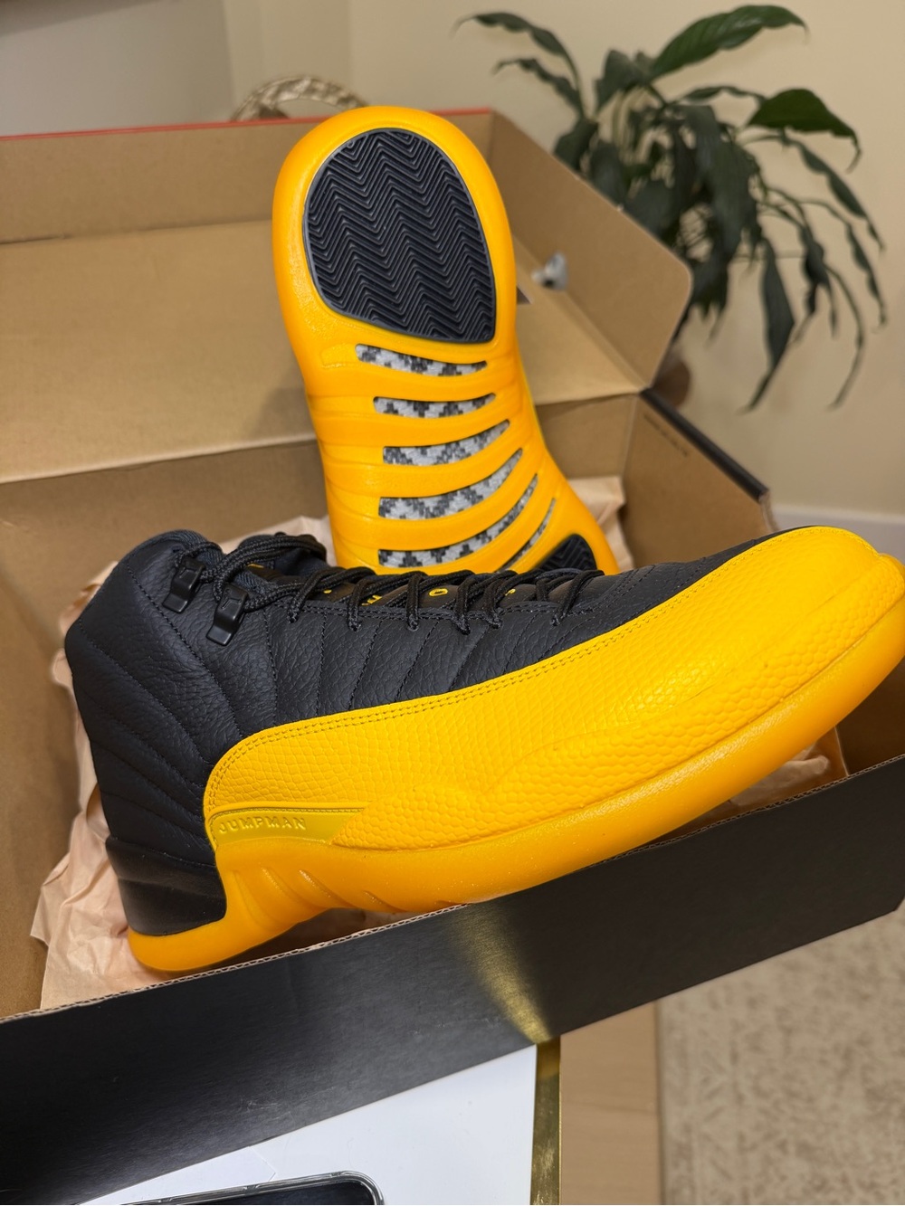 Jordan Retro 12 University Gold